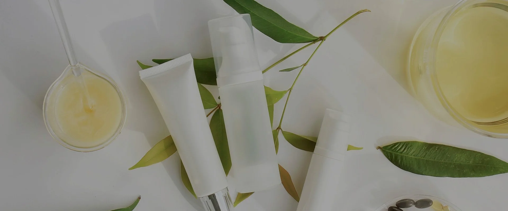 بانر رئيسي لكل الصفحات