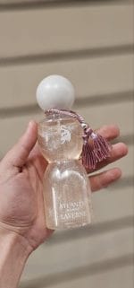 ⁦سبلاش جورجينا⁩ - الصورة ⁦3⁩